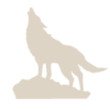 Coyote-Logo-sm